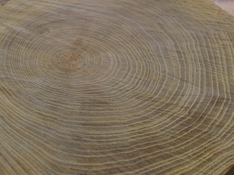 Jakie drewno na meble wybrać?